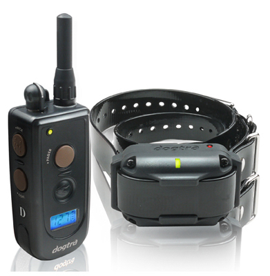Dogtra Training Collar