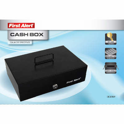 DLX STL Lock Cash Box