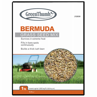 GT LB Bermuda Seed