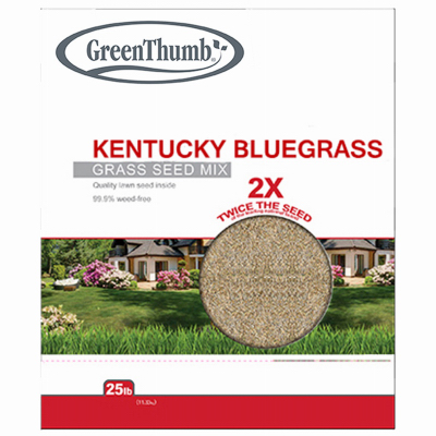 TV25LB KY BLUgrass Seed