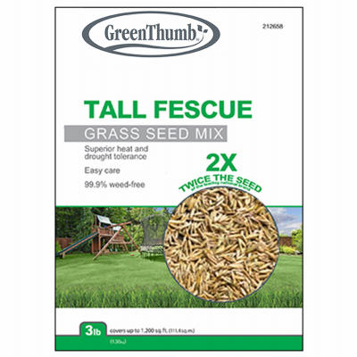3LB GT/Tall Fescue Seed