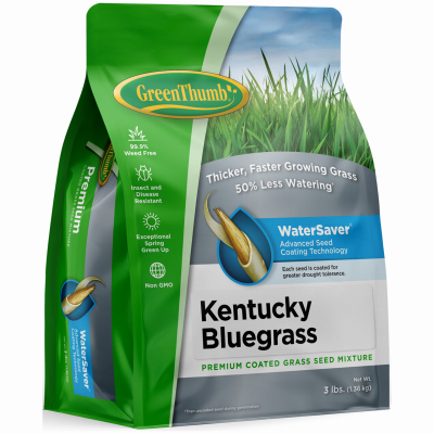 GT 3lb Kentucky Blue Grass Seed