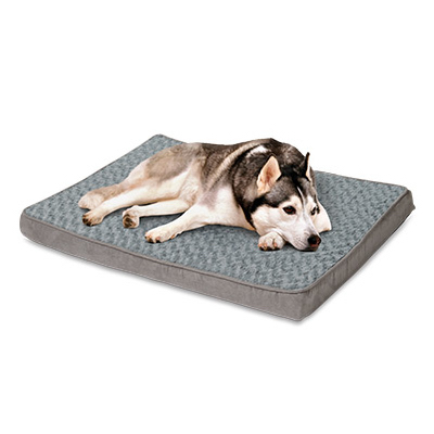 27x36x3 Ortho Dog Bed