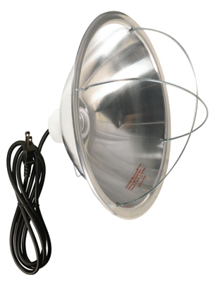 300W Hang Brooder Lamp