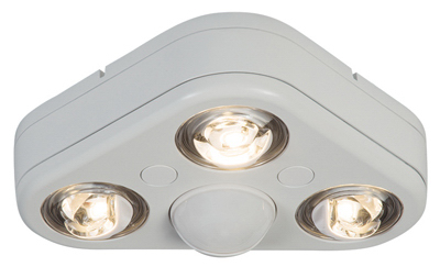 WHT270DEG LED FLD Light