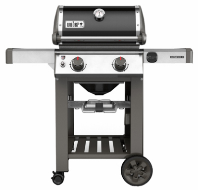 GenIIE210 BLK NAT Grill