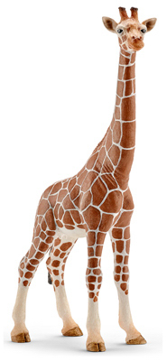 Tan Female Giraffe