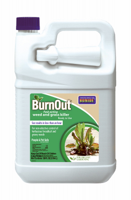 GAL RTU BurnOut