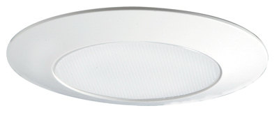 6" SHWR Light Lens Trim