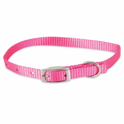 3/8x12 PNK Dog Collar