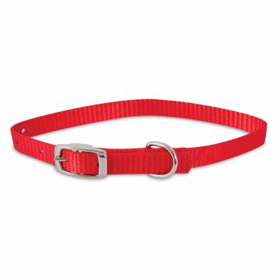 3/8x12 RED Dog Collar