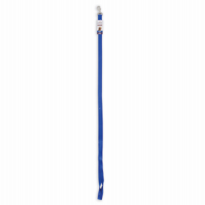 1x6 BLU Dog Leash