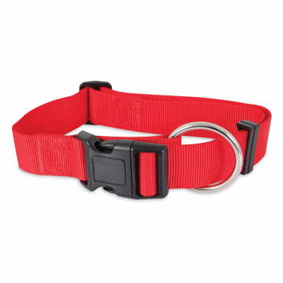 1x20 RED Dog Collar