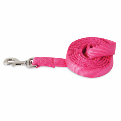 1x6 PNK Dog Leash