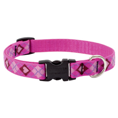 3/4x9-14 PL Dog Collar