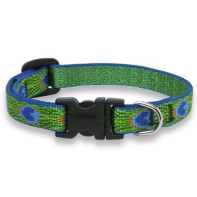 32601   Dog Collar 3/4x9-14 TF