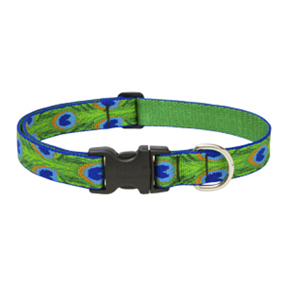 32602   TF Dog Collar 3/4x13-22