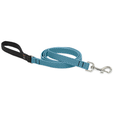 3/4x6 TS Dog Leash