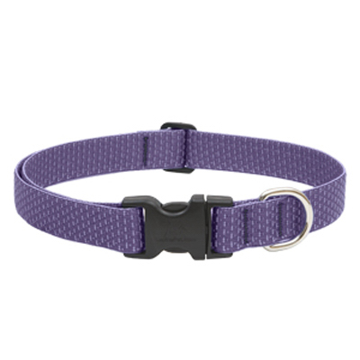 1x12-20 Lil Dog Collar