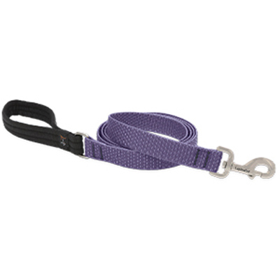 1x6 Lil Dog Leash