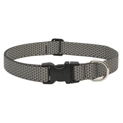 1X12-20 GRAN DOG COLLAR 36552