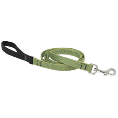 3/4x6 MOSS Dog Leash