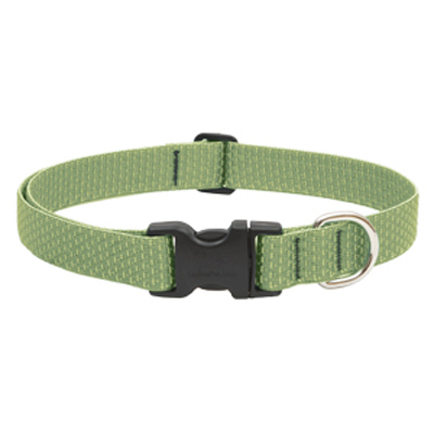 1x12-20 MOSS Dog Collar