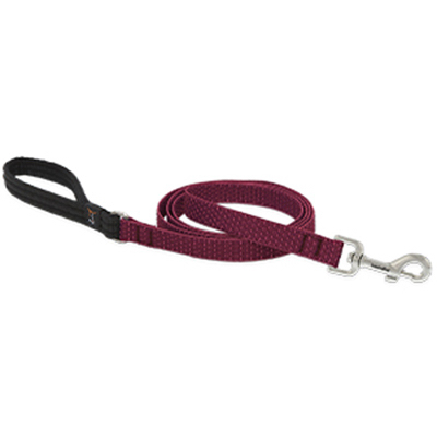 3/4x6 BERR Dog Leash