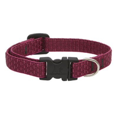 1/2x8-12BERR Dog Collar