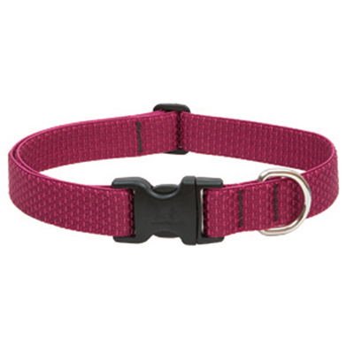 1X16-28 BERR DOG COLLAR 36953