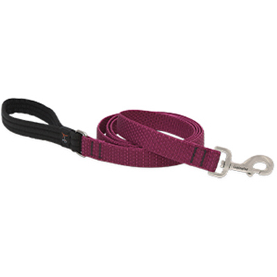 1x6 BERR Dog Leash