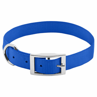 PE 1x22 BLU Dog Collar
