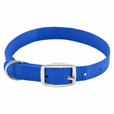 PE3/4x20 BLU Dog Collar