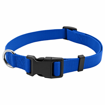 PE 1x26 BLU Dog Collar