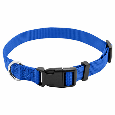 3/4x20 PE/BLU Dog Collar