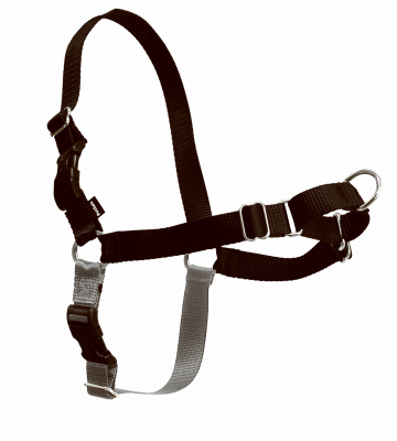 MED/LG Sport Harness