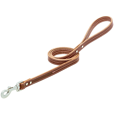 3/4x4 PNK Str Dog Leash