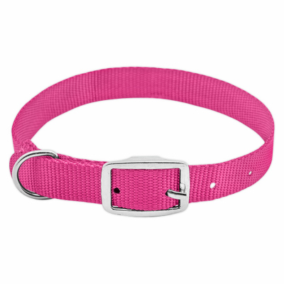 224303  PE Dog Collar 3/4x20 PNK