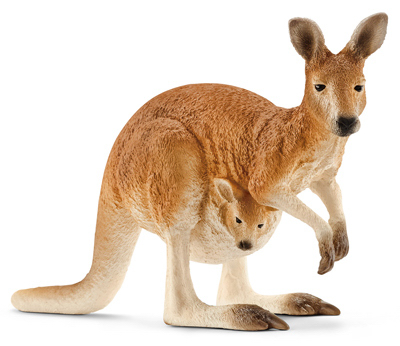 BRN Kangaroo