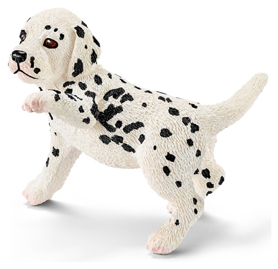 BLK/WHT Dalmatian Puppy