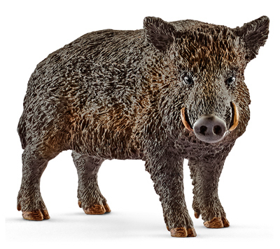 BLK Wild Boar