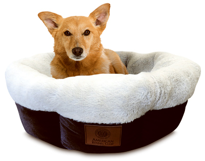 31" RND Pet Bed