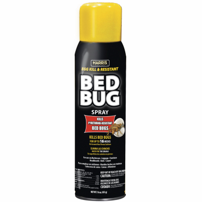 Bed Bug Aerosol, 16 oz.