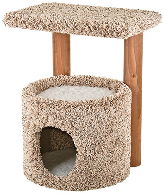 Kitty Condo/Perch