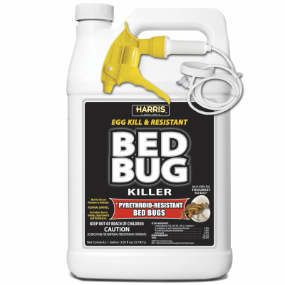 GAL RTU Bed Bug Black