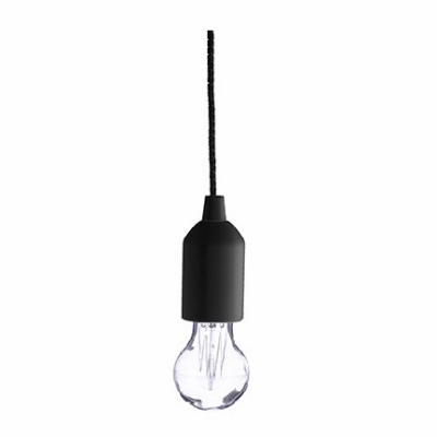 20L LED Pendant Bulb