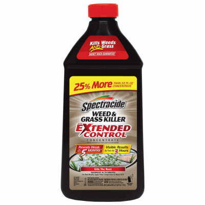 96622   Weed/Grass Kill EXT 40oz