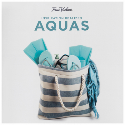IR-10PK Aqua Hue Card