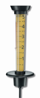 Jumbo Rain/Thermometer