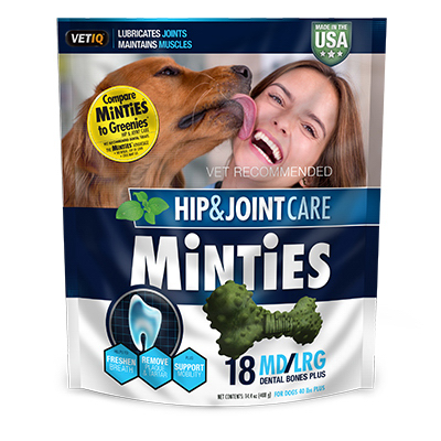 Vet 18PC Mint Dog Treat